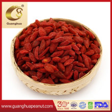Individual Package Preserved Gojiberry with High Quality